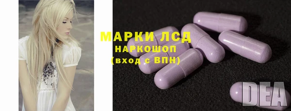 ешки Аркадак