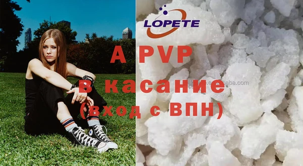 ешки Аркадак
