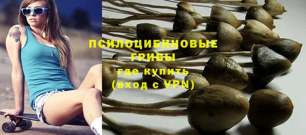 ешки Аркадак
